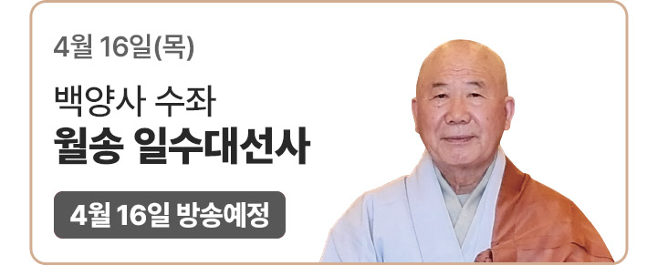 ���� �ϼ��뼱�� (��ۿ���)