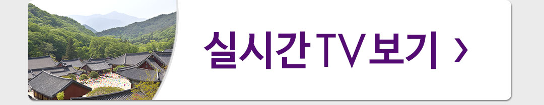 �ǽð�TV����