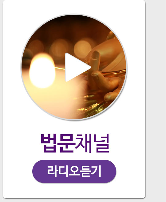 ����ä�� ���� ���