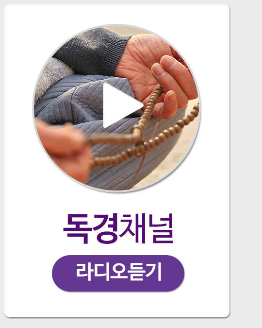 ����ä�� ���� ���