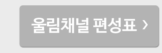 �︲ä�� ����ǥ